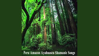 Vignette de la vidéo "Peru Amazon Ayahuasca Shamanic Songs - Tu Nos Acercas a el Corazón"