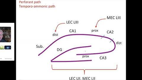 Jim Knierim, Ph.D. -- Memory: It