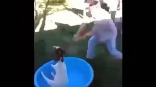 20170405 045902000 iOS