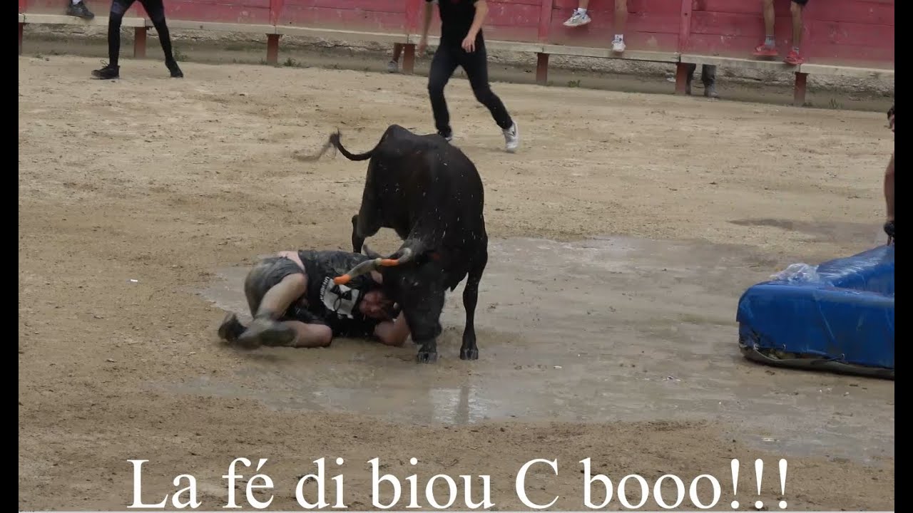 Saint-Jean-de-Védas ▶toro piscine◀ 11.06.2023 🤣🤣🤣