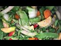 Stir Fried Veggies