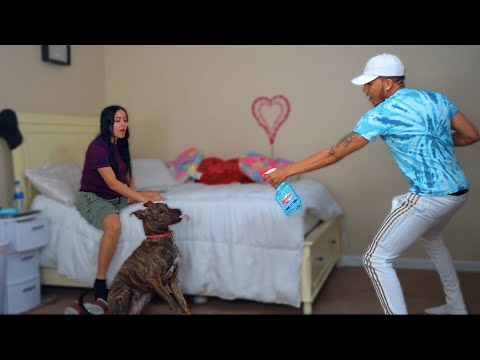 feeding-our-dog-windex-prank-on-girlfriend-😂