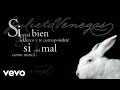 Julieta Venegas - Bien o Mal (Audio)