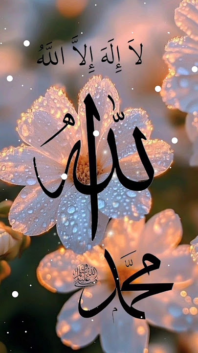 Allah Muhammad S.A.W name wallpaper|Islamic dpz collection❤️ | Allah Muhammad name dp||dpzlovers