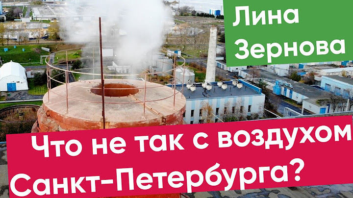 Лина Зернова - Что не так с воздухом Санкт-Петербурга? Яблоковские чтения 26.10.2022