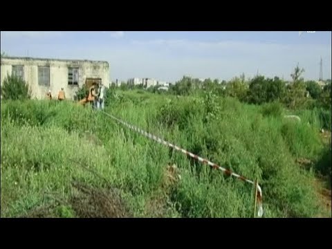 თბილისი-რუსთავის 800 მეტრიანი გზის მონაკვეთის მშენებლობა დაიწყო