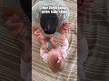 Baby Gave Dad a New Hairstyle 😂 #baby #dad #dadlife #family #parenting