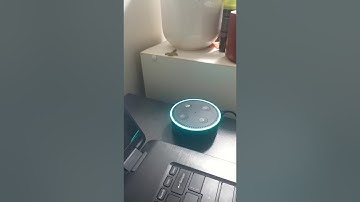 Reddit Showerthoughts Alexa skill demo