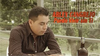 Puedo Vivir Sin Ti  -  Arley Cangrejo [Video Oficial] - Musica Popular - Despecho chords
