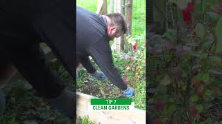 How To: Fall Yard Cleanup #shorts