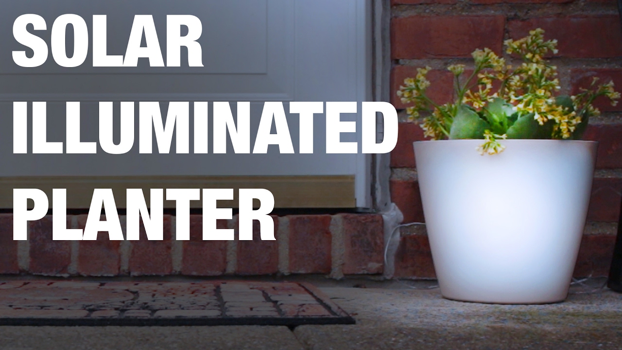 These Glow In the Dark Illuminated Planters Will Make Your