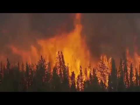 In Russia, the forest is burning - SOS ! Destroy Siberia ! - Почему горит тайга !