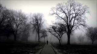 Frozen Night - For Nothing [Araxas Cover] (Abandoned Project)