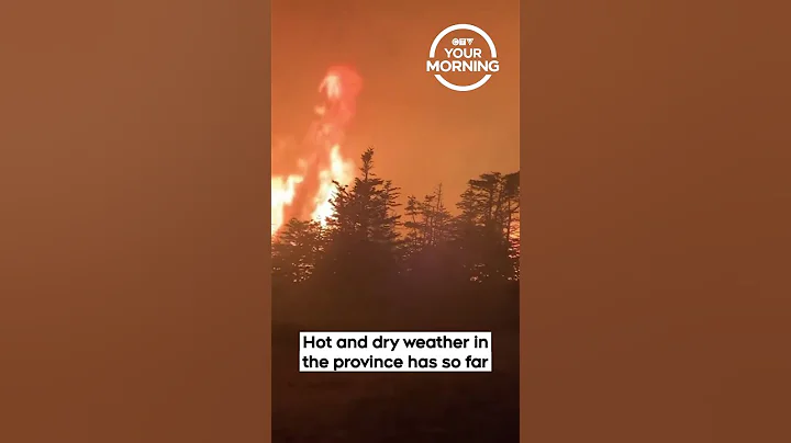 Wildfires Conditions Cause Restrictions, Evacuations Across Canada | Your Morning