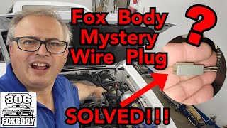 SOLVED!!!  FOX BODY MUSTANG MYSTERY WIRE PLUG! - 306 Foxbody