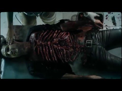 youtube player