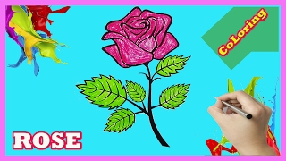 Rose Coloring pages Learn Color for Kids