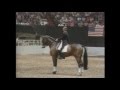 Dr Reiner Klimke riding Ahlerich - New York