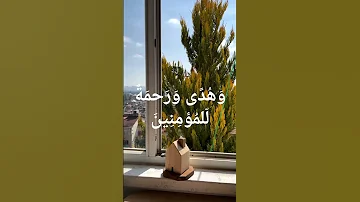 القارئ محمد عسل يـ ايها الناس قد جآئتكم موعظة من ربكم وشفآء لما في الصدور اكسبلور اشتراك 