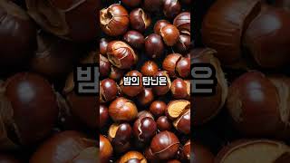 "밤 영웅, 에너지 전사의 귀환"#밤효능 #에너지충전 #혈관건강 #영웅의여정 #건강쇼츠