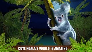 Koala Simulator - Cute Bear Wild Life 3D Gameplay Video Android/iOS screenshot 5