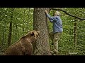 Bear Catches Woman Trying to Climb Tree