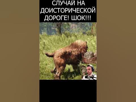 Случай на дороге фар край праймал short #shorts - YouTube