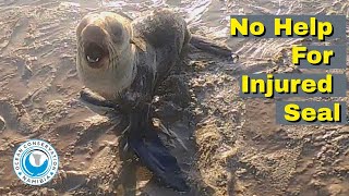 No Help For Injured Seal