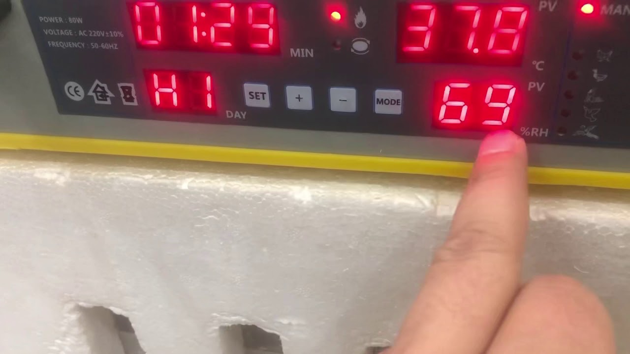 Kuluçka makinesi kalibrasyon ayarı yapma