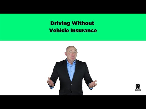 Driving Without Vehicle Insurance [VIDEO]