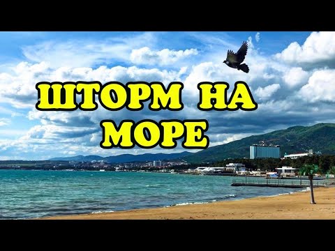 Сочи Анапа Морем Купить