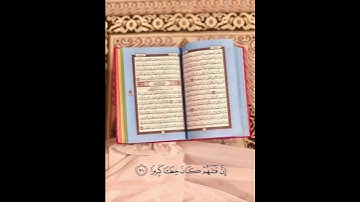 #القرآن_الكريم #quran 🤍💮 #صلاح_بوخاطر #سورة_الإسراء #راحة_نفسية #حالات_واتس