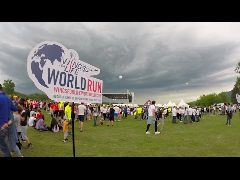 Wings for Life World run Kakheti 2017 - მსოფლიო რბენა კახეთში 2017
