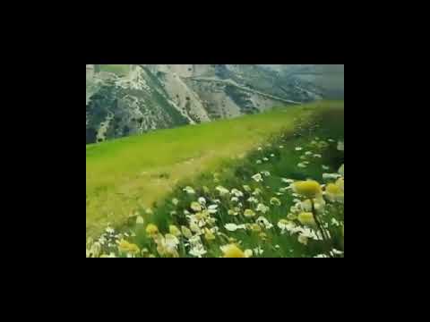 ٢٣ يناير ٢٠٢٣