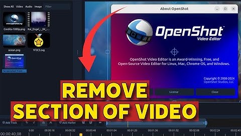 How to Remove Section Of Video in Openshot 2025?