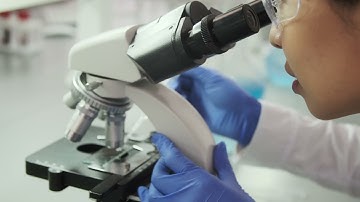 Scientists Stock Footage | Looking Through Microscope | 4K Free Stock Videos | Copyright Free Videos