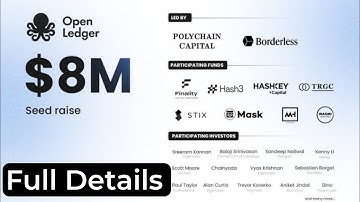 Open Ledger Mobile Node Setup - Step by step guide | Big Participating Funds Hash3,Hashkey→Capital