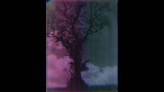 Unlucky - Jonathan Bellot (Can Midi Be Human)