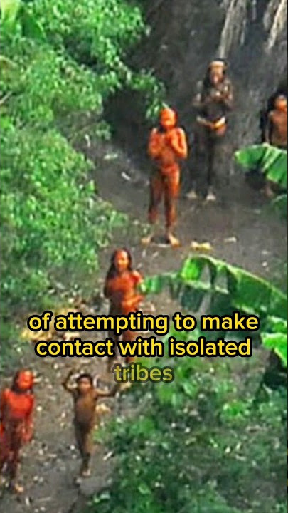 The LAST Untouched Tribe In The World In The North Sentinel Island
