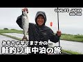 【釣り車中泊】 北海道で素人が天然の鮭釣りするとこうなります - VAN LIFE JAPAN 45