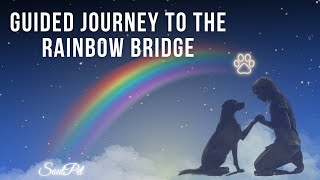 🌈 Connecting with Your SoulPet at the Rainbow Bridge | Guided Journey