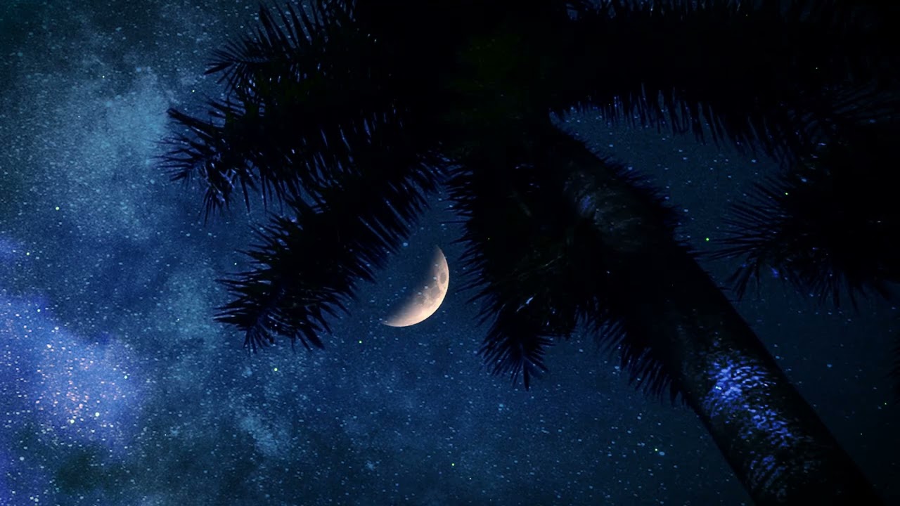 Ночные звуки природы — расслабляющие звуки тихой ночи для успокоения ума.