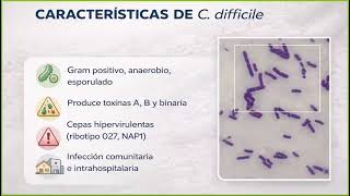 "Clostidioides difficile. Cuando los antibióticos no alcanzan" Mayo 2026 - Hospital Británico
