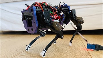 Quadruped Robot Tsuki Mini walks with new shoes