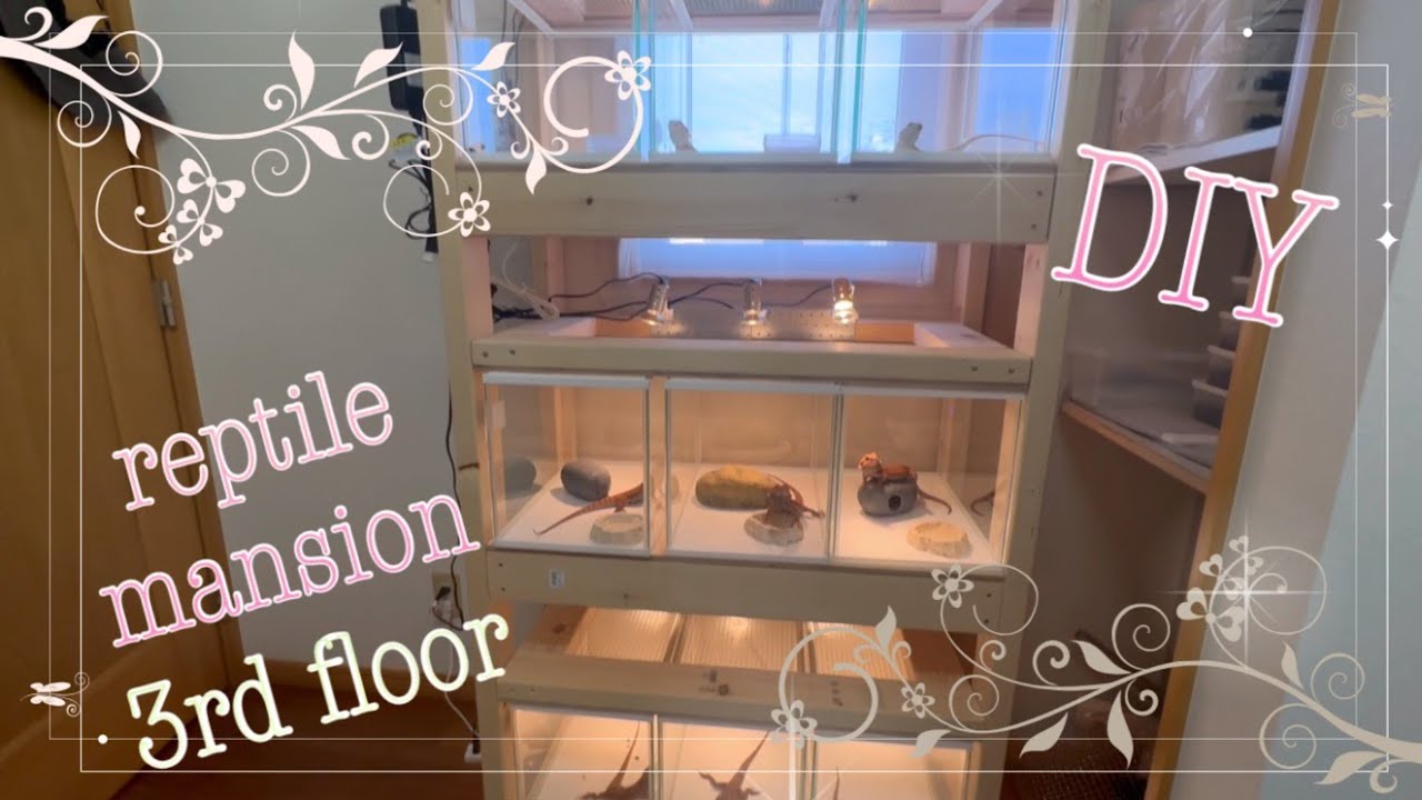 フトアゴ専用レプタイルマンション作成！DIY♪ - YouTube