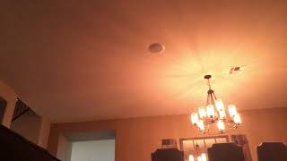 Making A Fort With Peyton And Presley