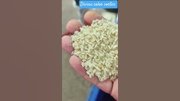 Divine color sorter One chutu Rice Sortex