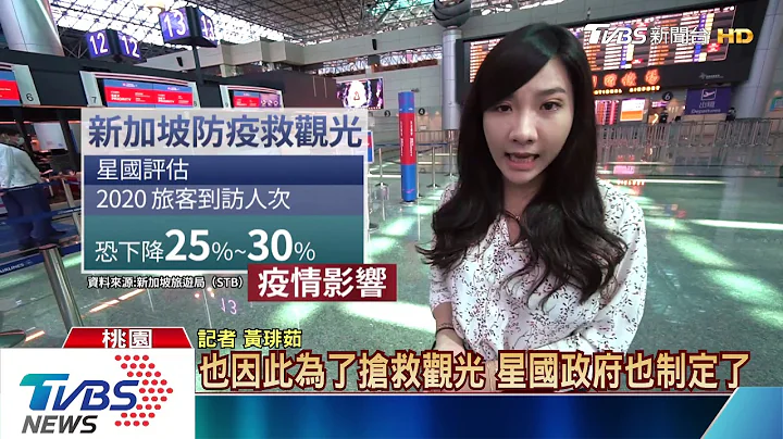 【十点不一样】肺炎、登革热疫情冲击！　新加坡的抗“疫”之路 - 天天要闻