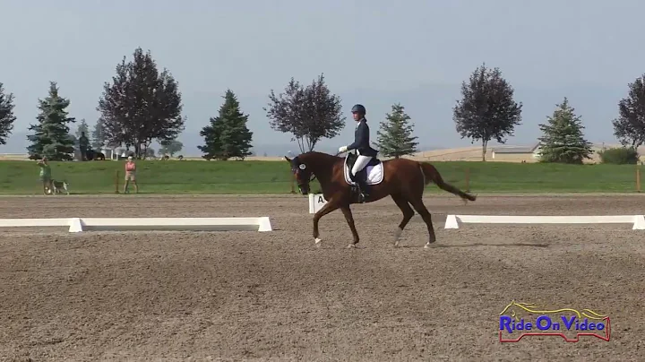 148D Jacqueline Cameron on Penny Lane Novice Horse Championship Dressage AEC Aug. 2022