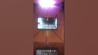 canaria 〜消えゆく空に〜 SolidS 奥井翼 cv.斉藤壮馬 歌ってみた カラオケ フル